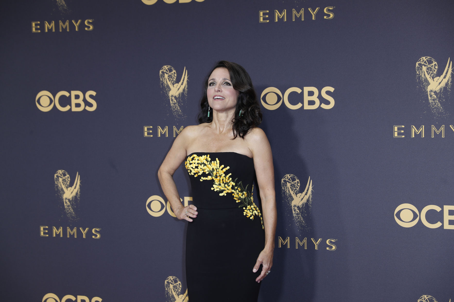 Julia Louis-Dreyfus, 2017